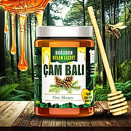 DOĞADAN GELEN LEZZET ÇAM BALI 850Gr