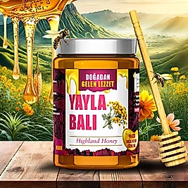 DOĞADAN GELEN LEZZET YAYLA BALI 850Gr
